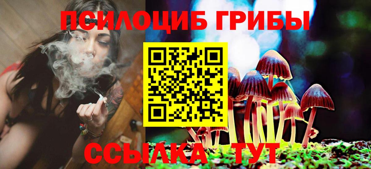 где найти   Вход с VPN  Жуковский  Галлюциногенные грибы MAGIC MUSHROOMS  Псилоцибиновые грибы прущие грибы 