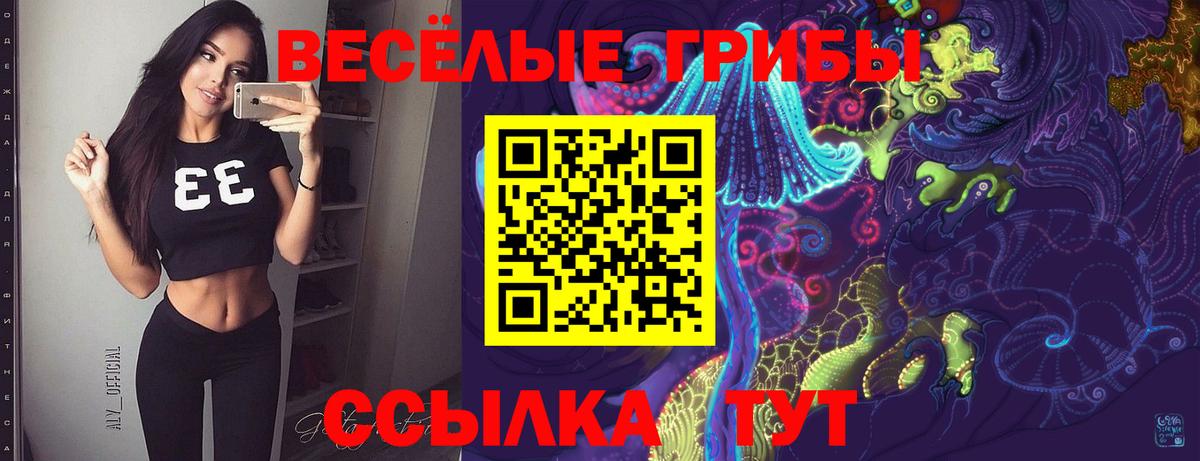 Галлюциногенные грибы Psilocybine cubensis Жуковский